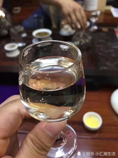 一招教你分类各种名酒